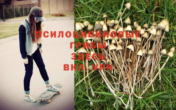 apvp Бугульма