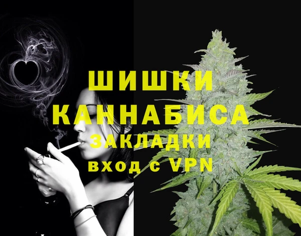 амф Богданович