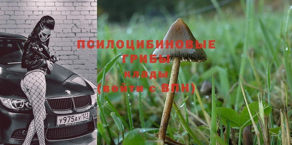 кокаин колумбия Бородино