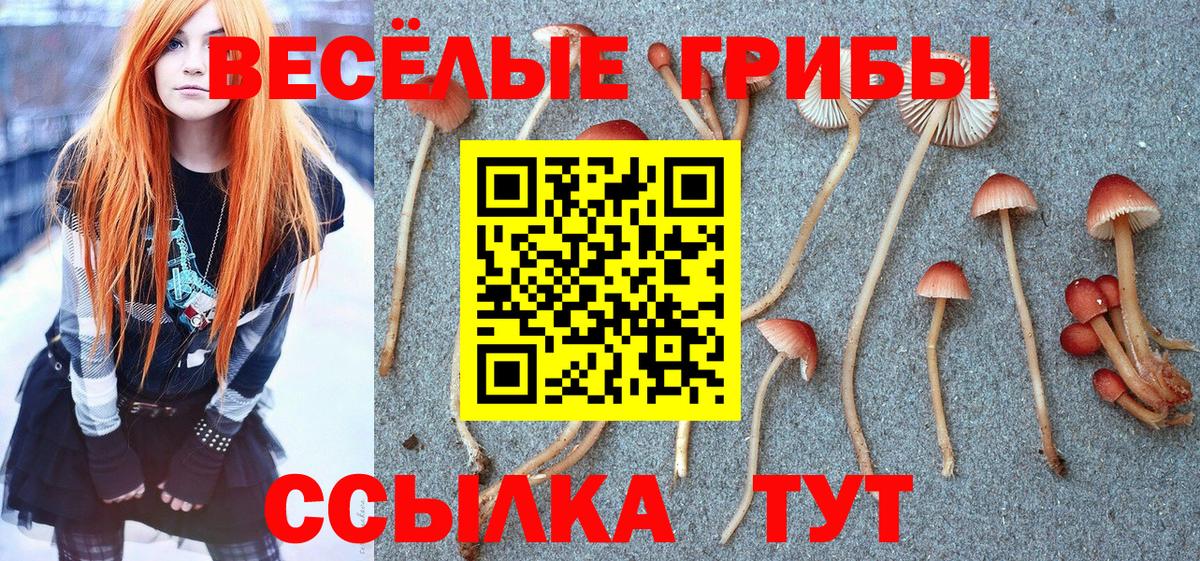 Псилоцибиновые грибы MAGIC MUSHROOMS Обь