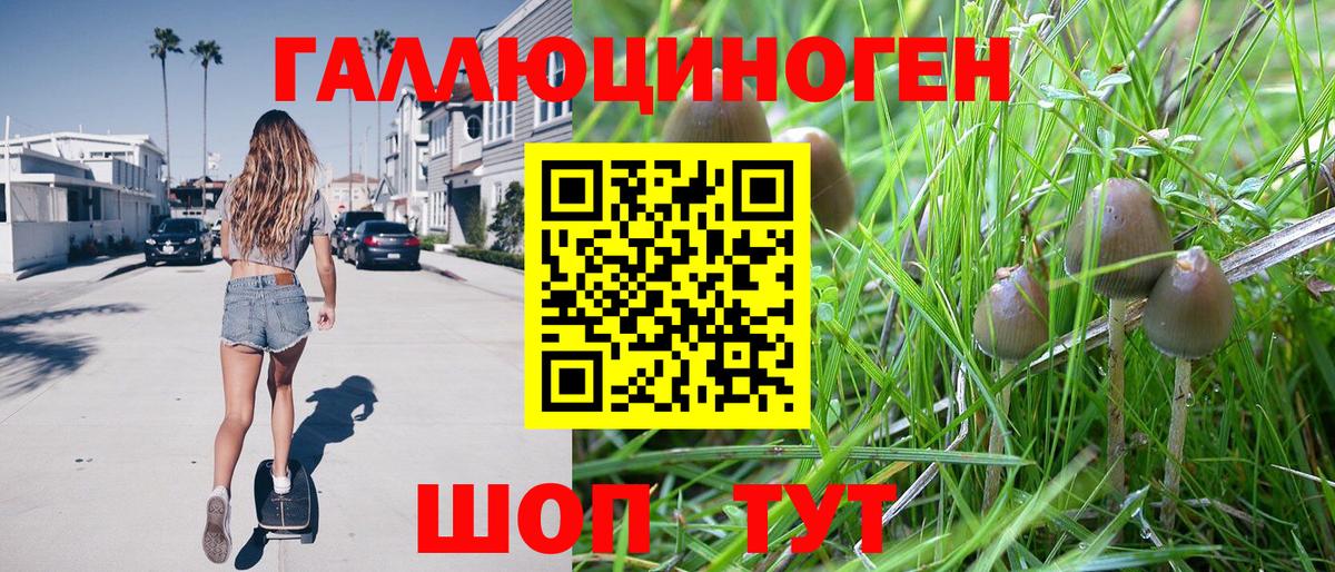Обь  Псилоцибиновые грибы мухоморы  Вход с VPN 